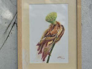 An nhiên | Tình sen