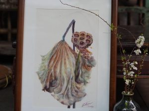 Tình sen | Vô thường